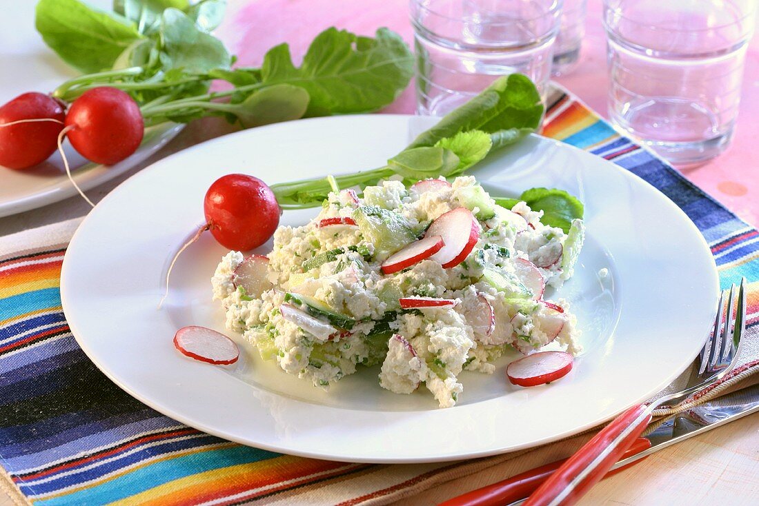 Cottage cheese with radishes and cucumber