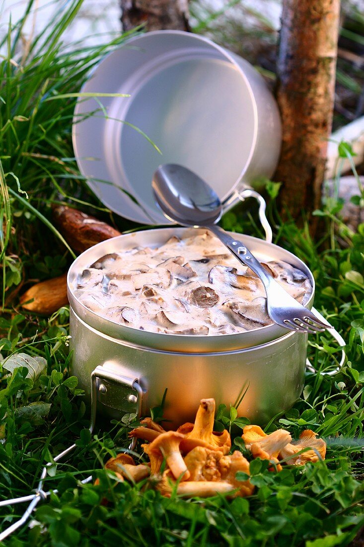 Mushrooms in cream sauce for picnic