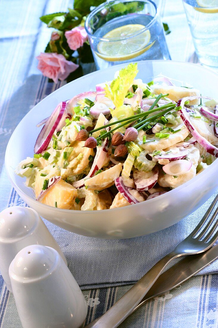 Vegetable salad with celery, apples and red onions