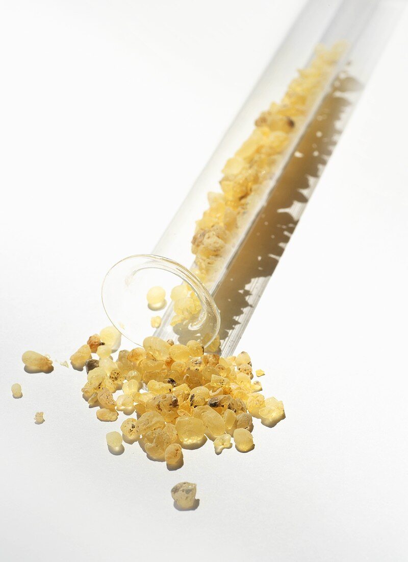 Mastic (resin of the Mastic bush) with test-tube