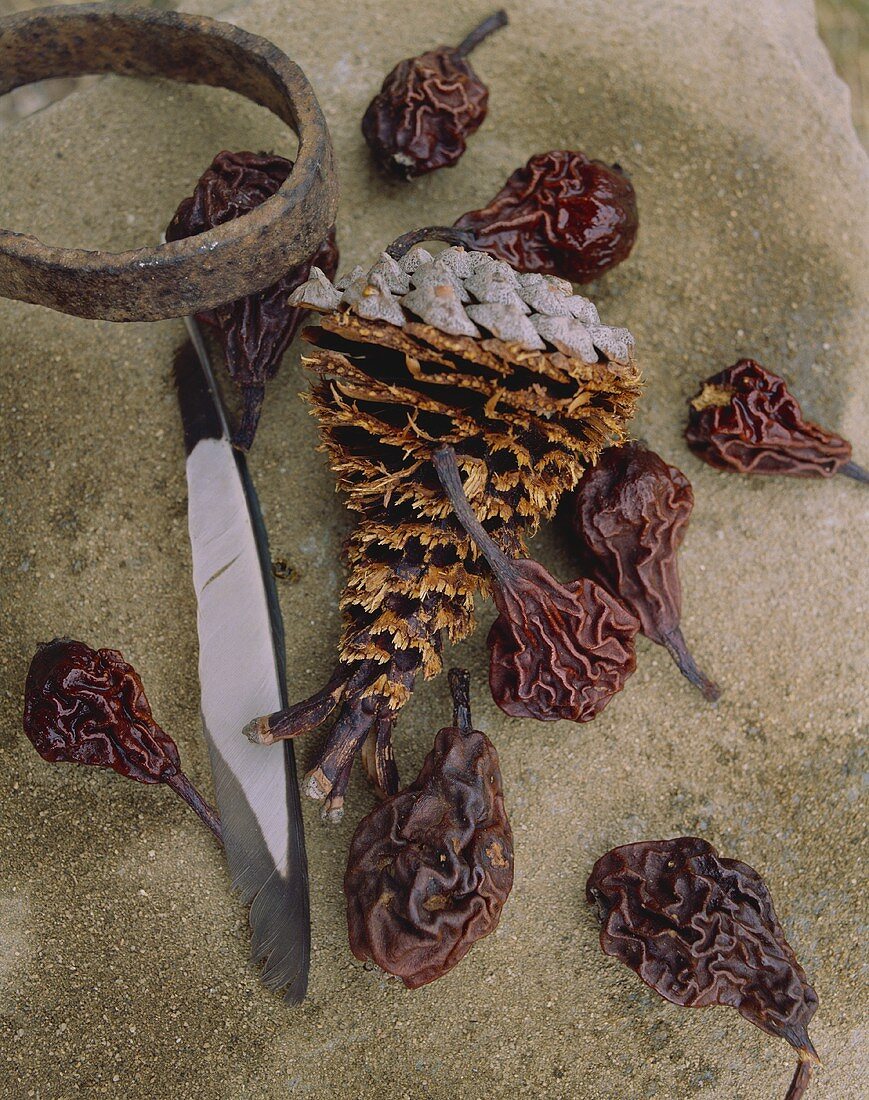 Dried pears, feather and pine cones