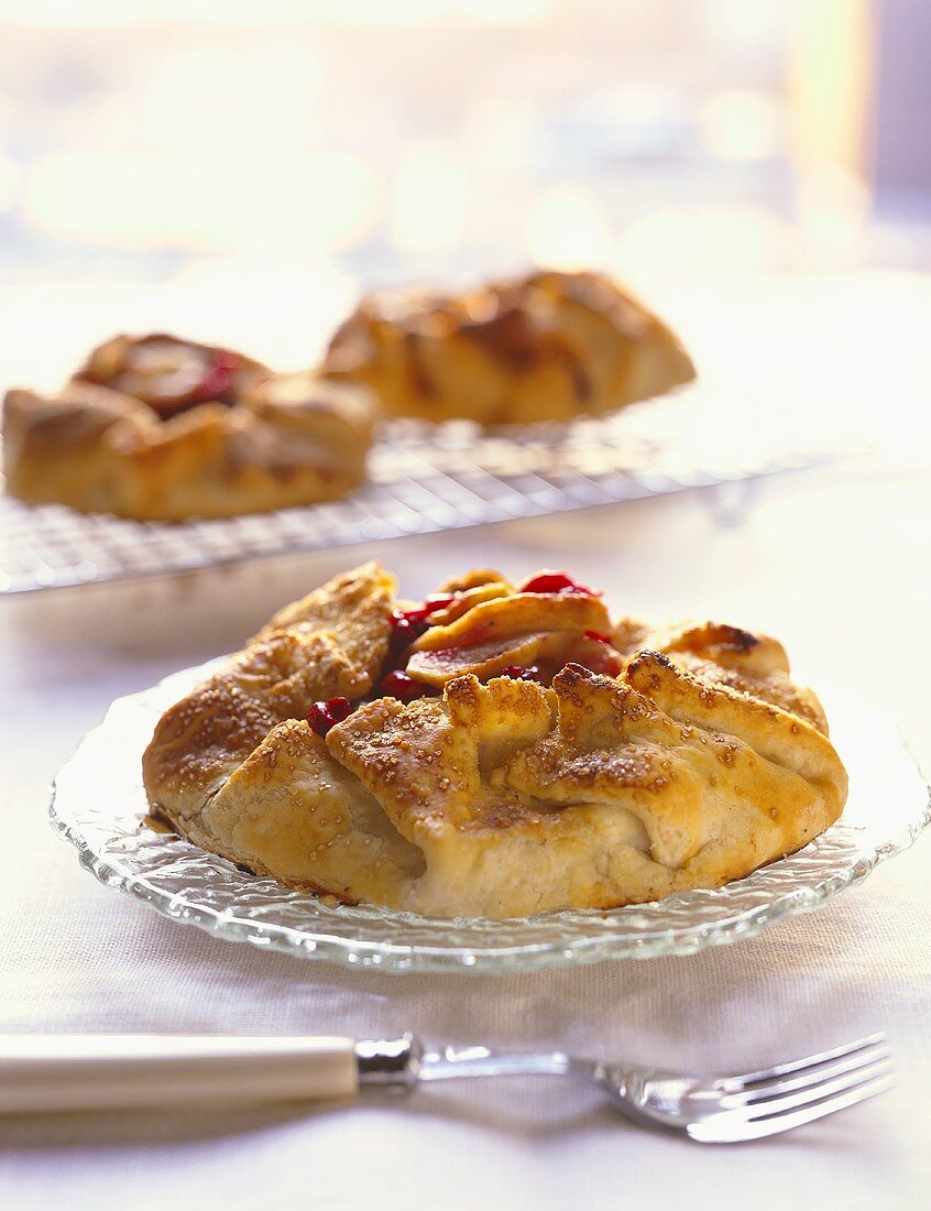 Apple and cranberry tartlet on plate