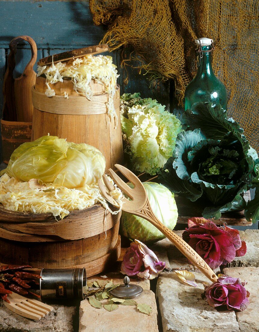 Sauerkraut in wooden barrels, with cabbages beside them