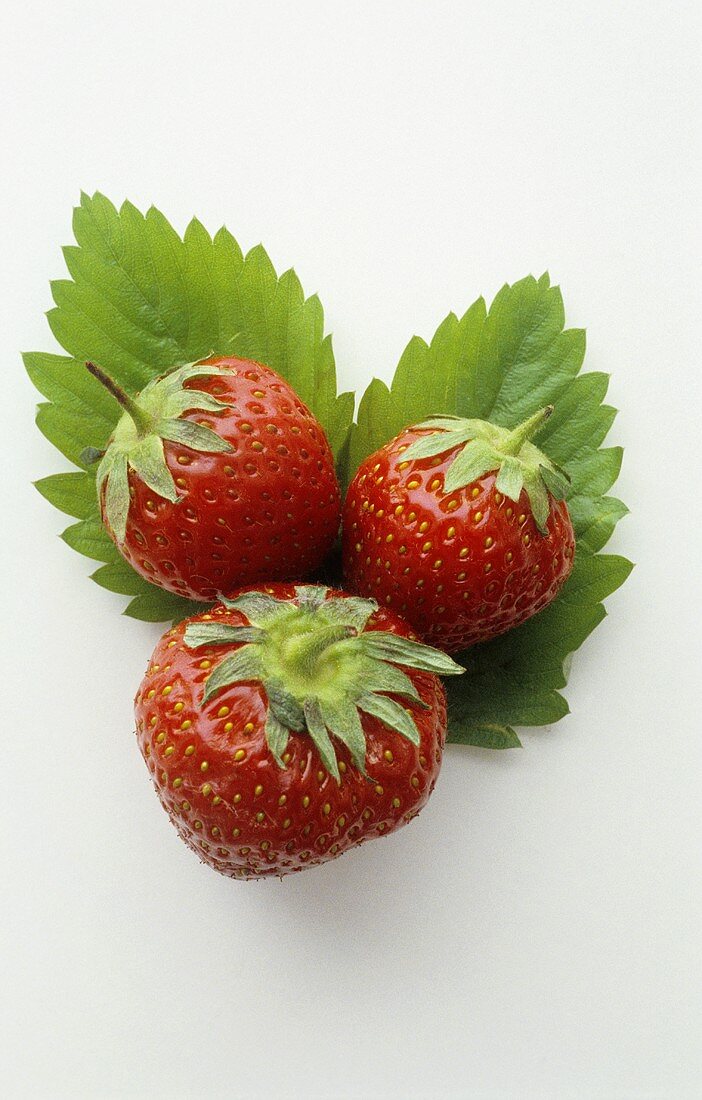 Three strawberries on strawberry leaves