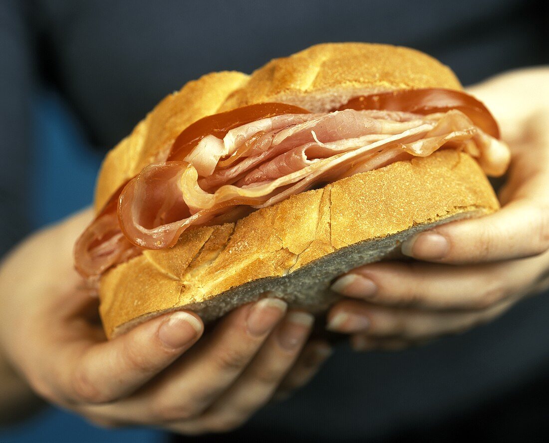 Ham on a Roll
