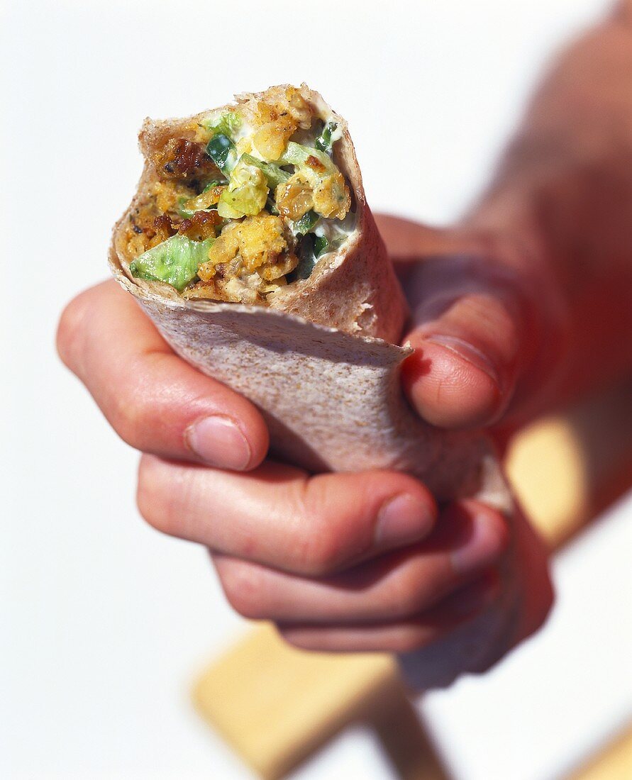 Hand holding tortilla roll with vegetable & chicken filling