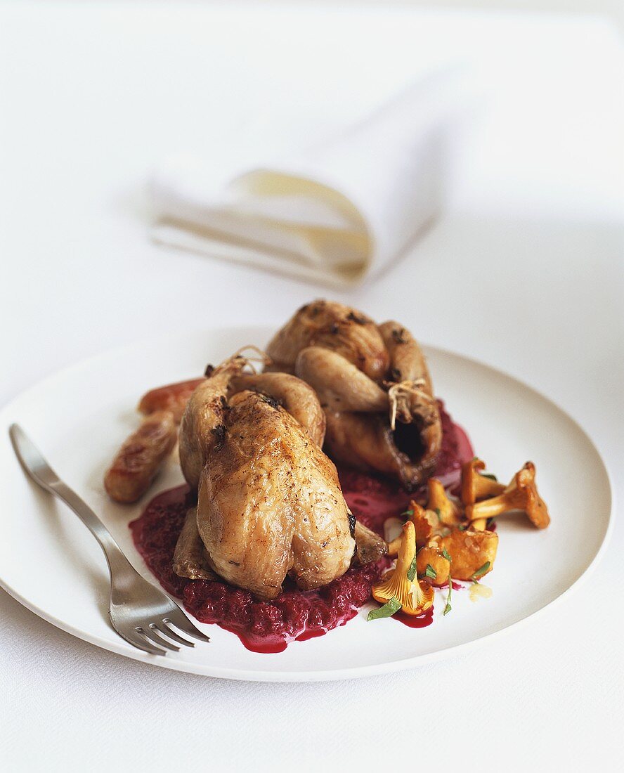 Quails on beetroot with chanterelles