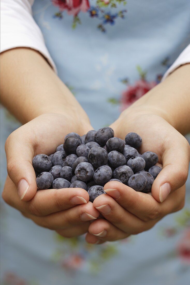 Hands holding fresh blueberries