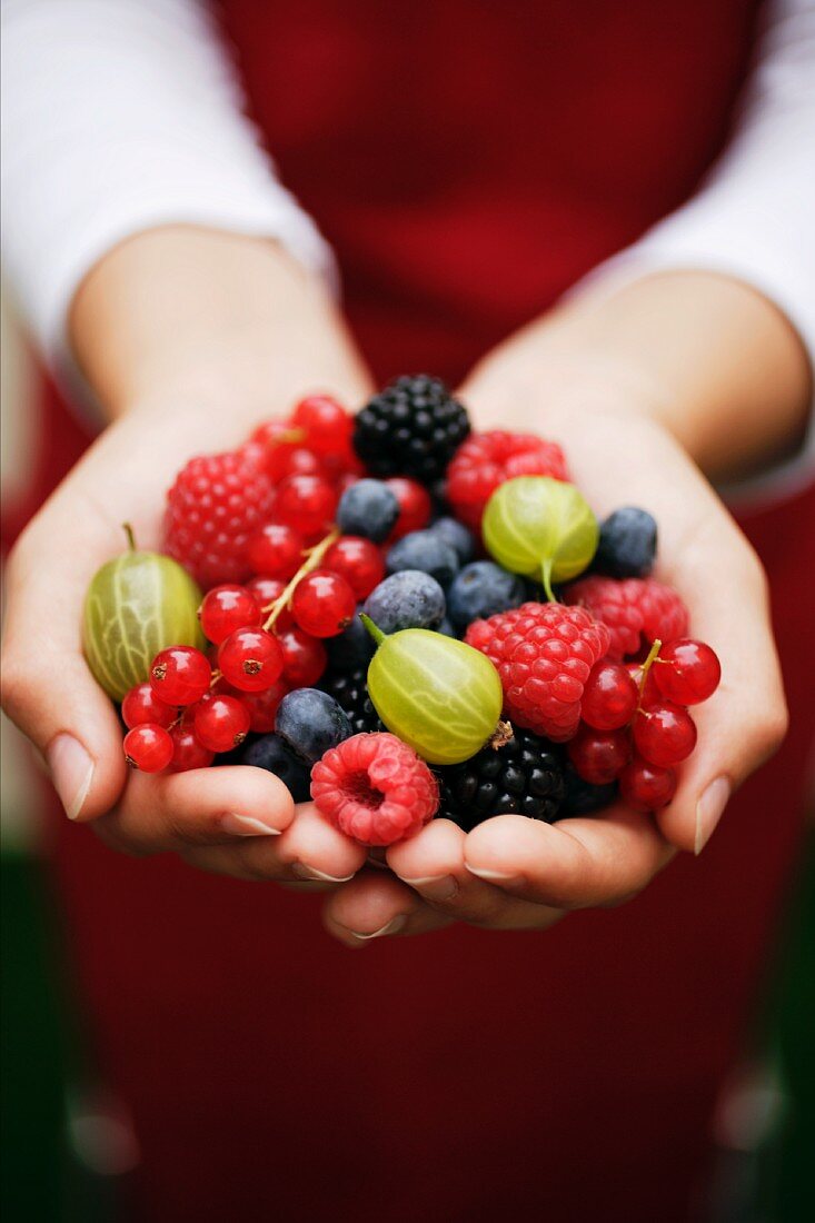 Hände halten frische Sommerbeeren