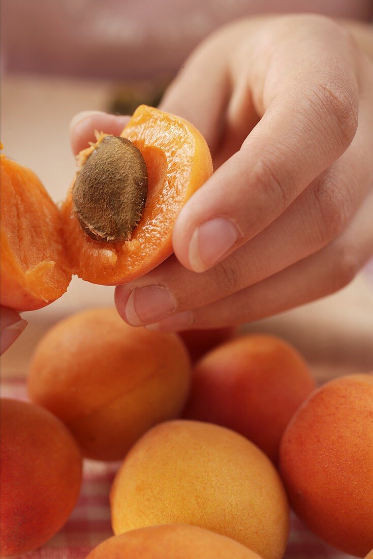 Halving apricots