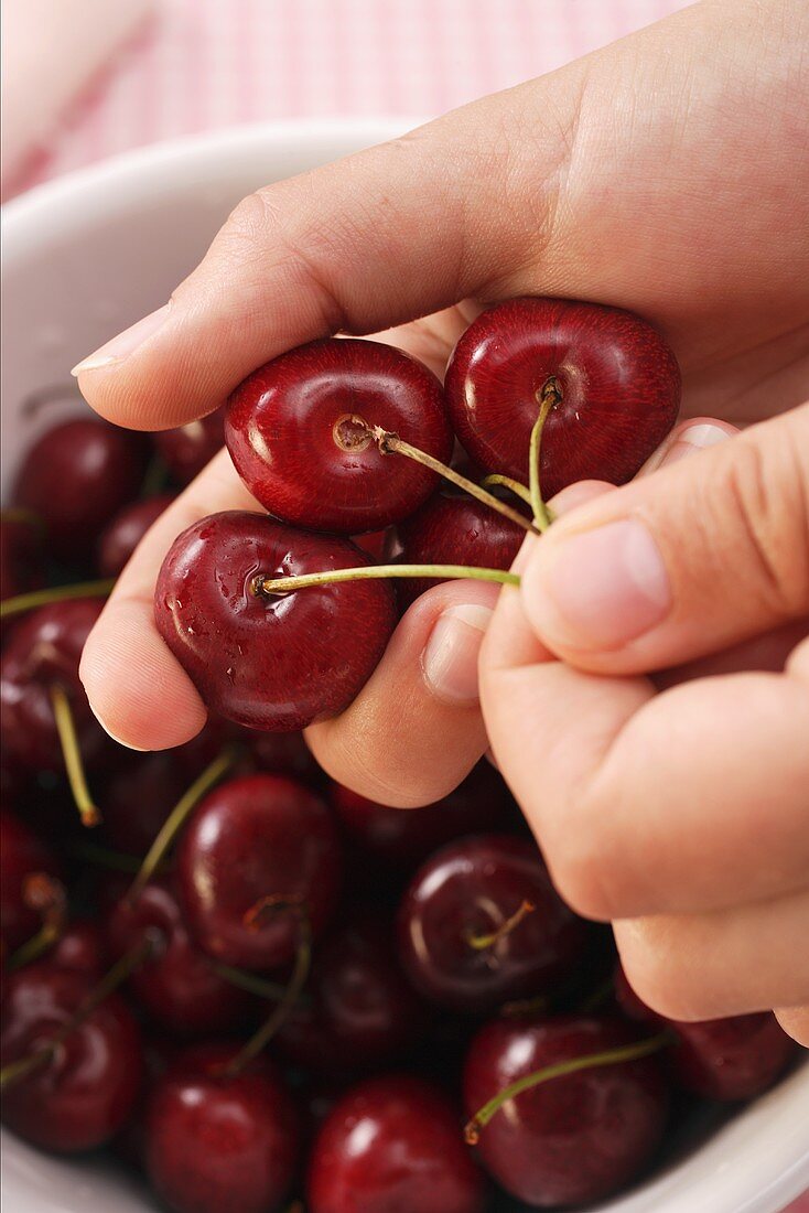 Removing cherry stalks