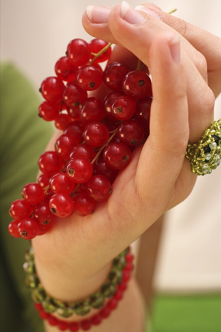 Hand holding redcurrants