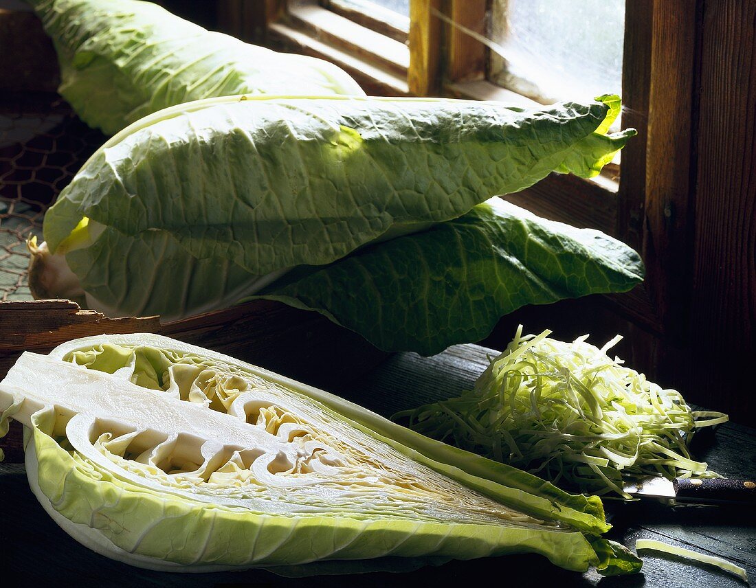 Pointed cabbage by window