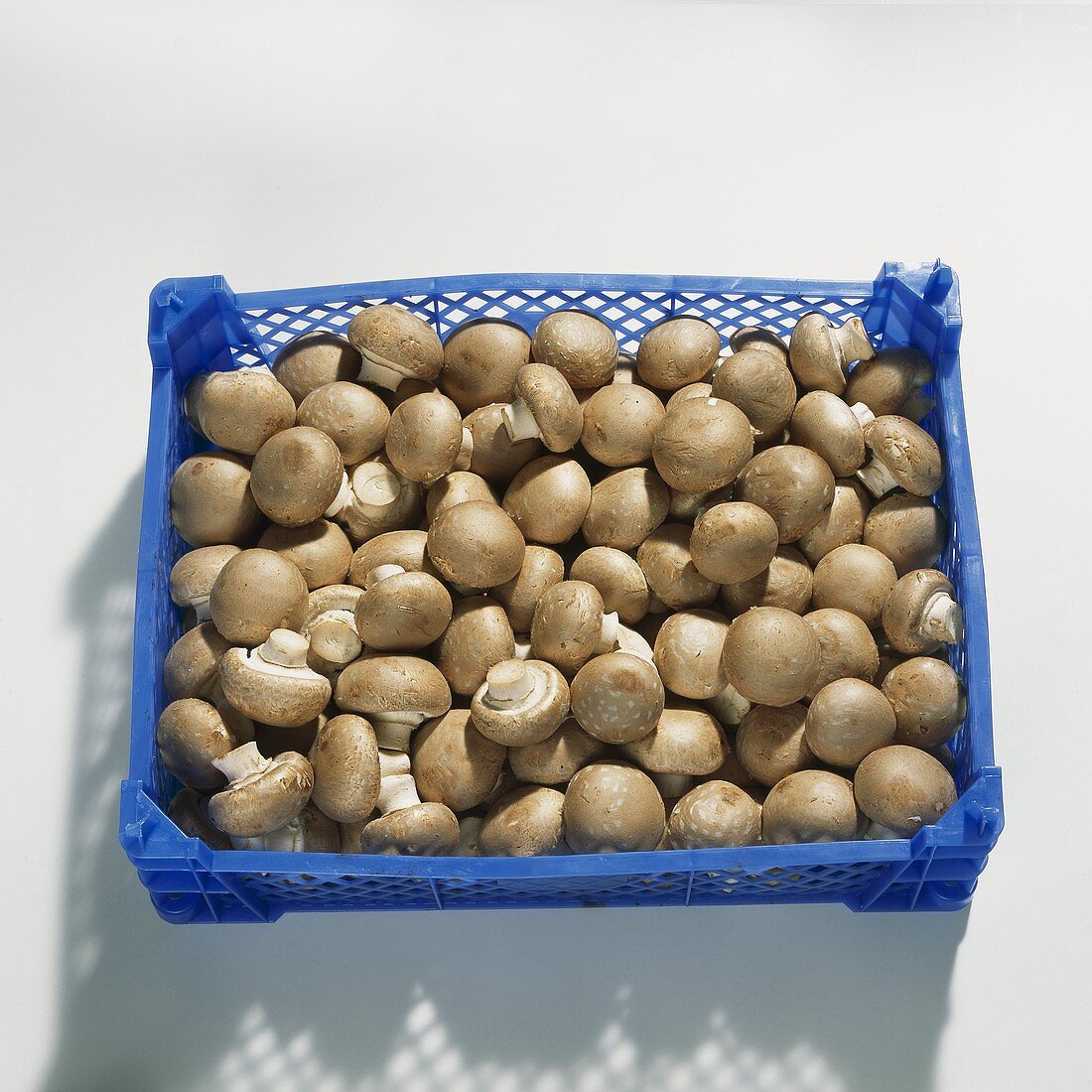 Chestnut mushrooms (Agaricus bisporus) in crate