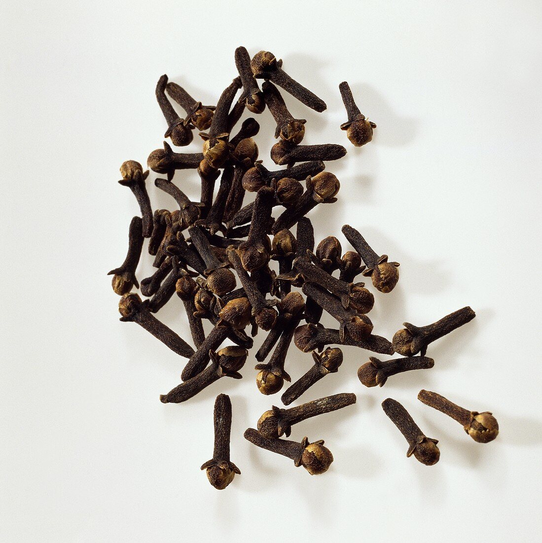 Cloves (Syzygium aromaticum)