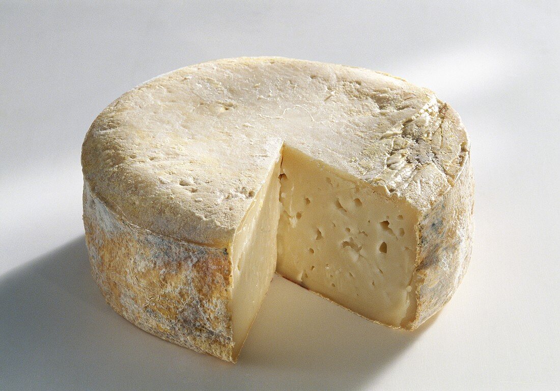 Queso de la Serena, sheep's cheese from Spain