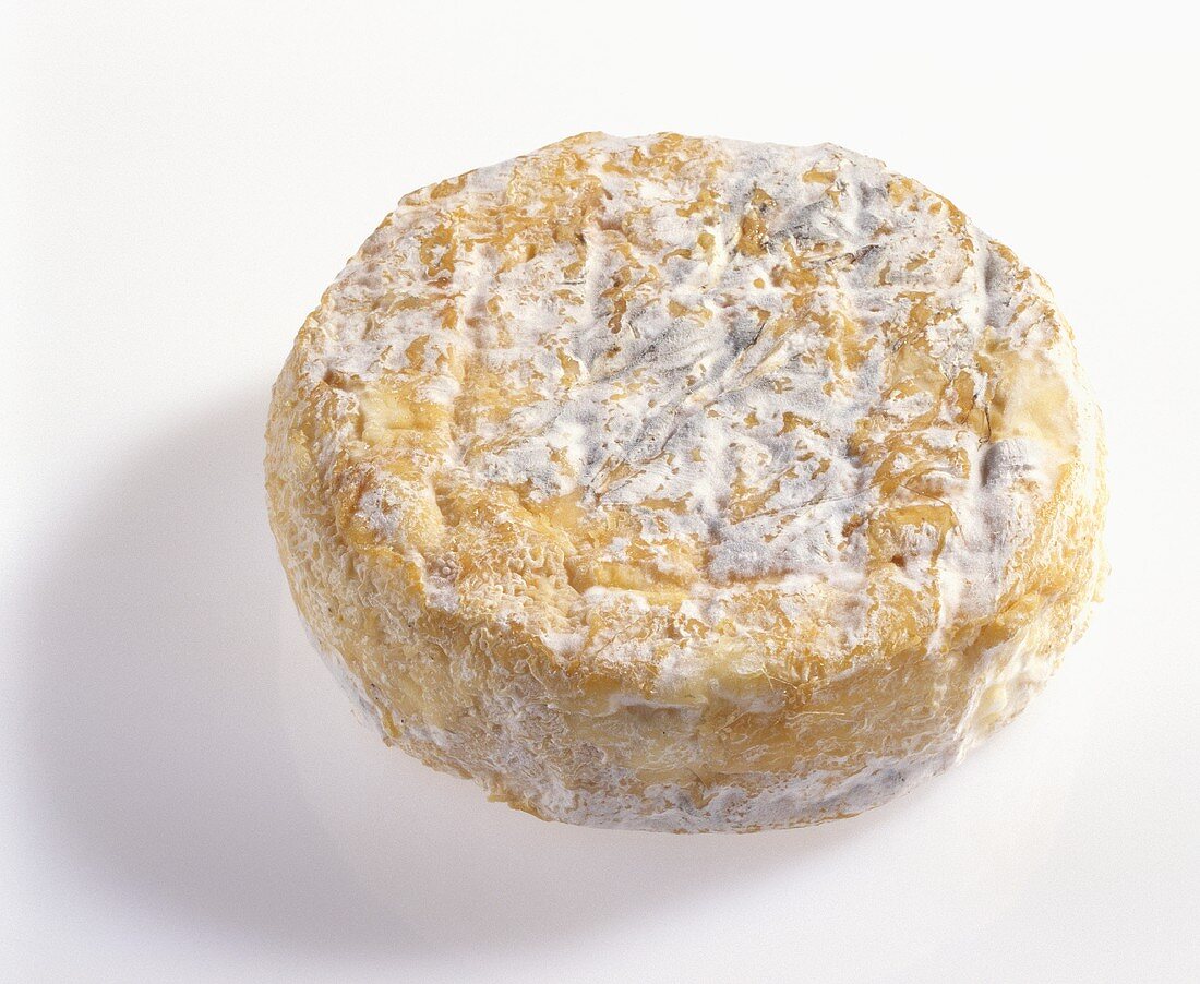 Saint Felicien, soft cheese from France