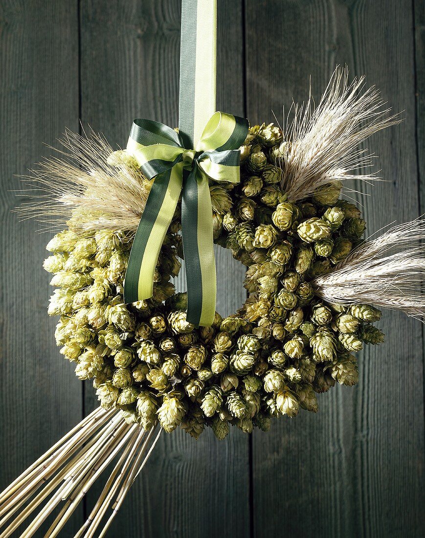 Hop wreath on wooden wall