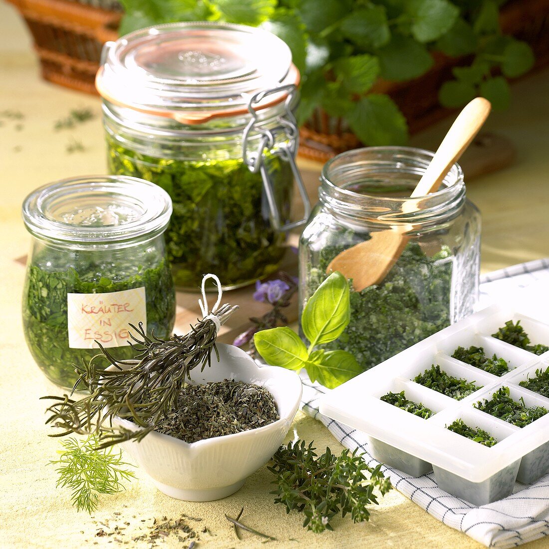 Still life: various ways of preserving herbs