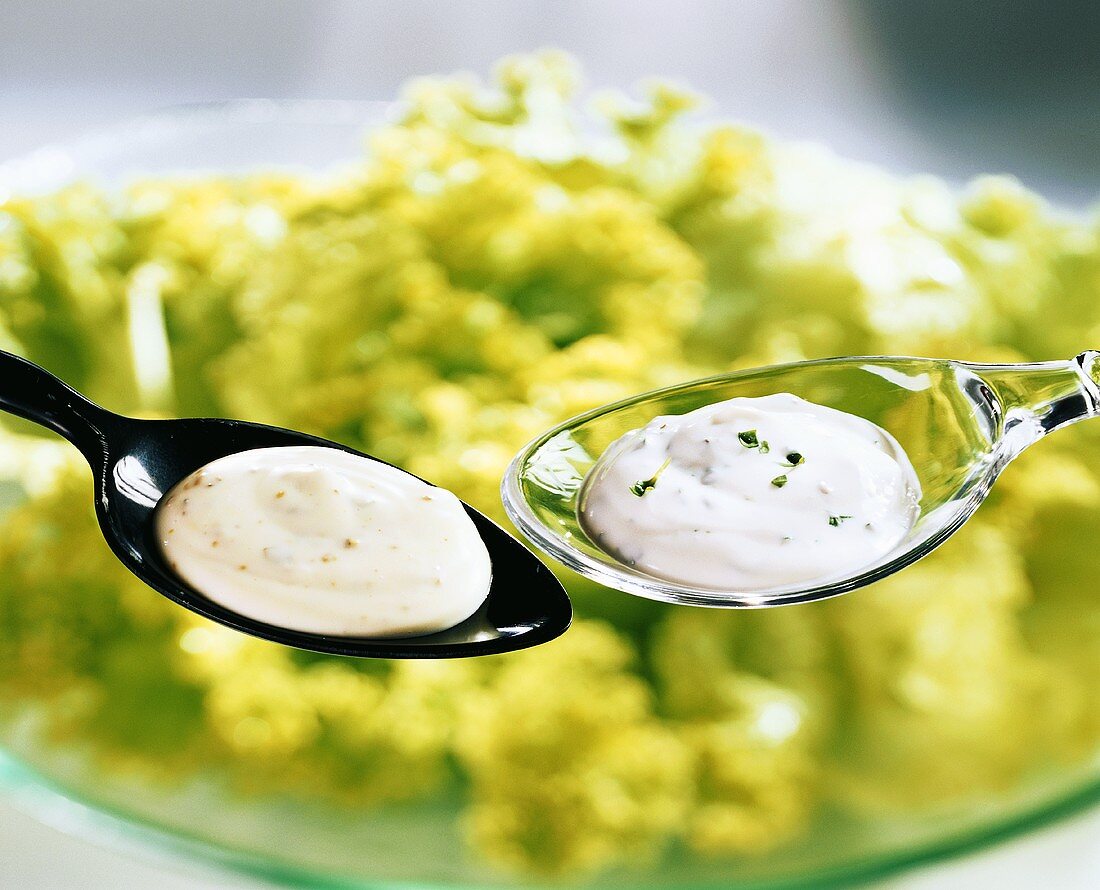Mayonnaise und Frischkäsedressing für Salate