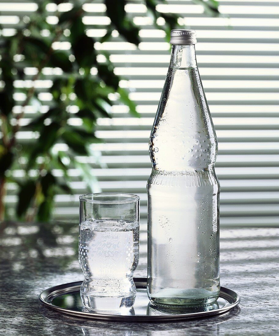 Mineralwasser in Flasche und Glas auf Tablett