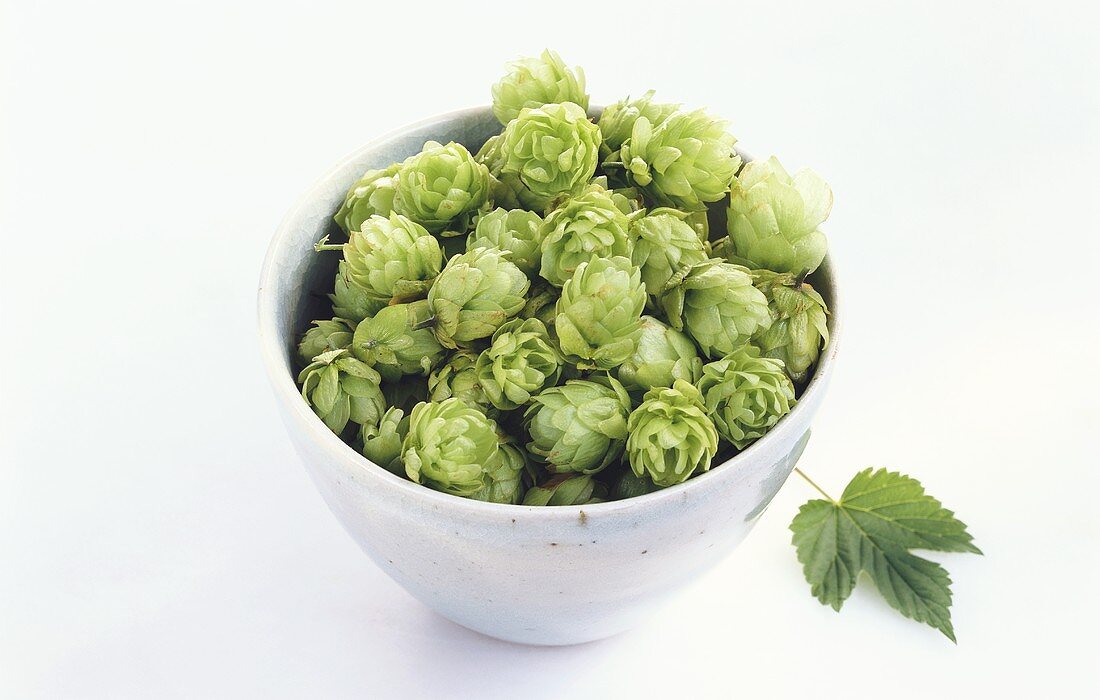 A bowl of hops on a light background