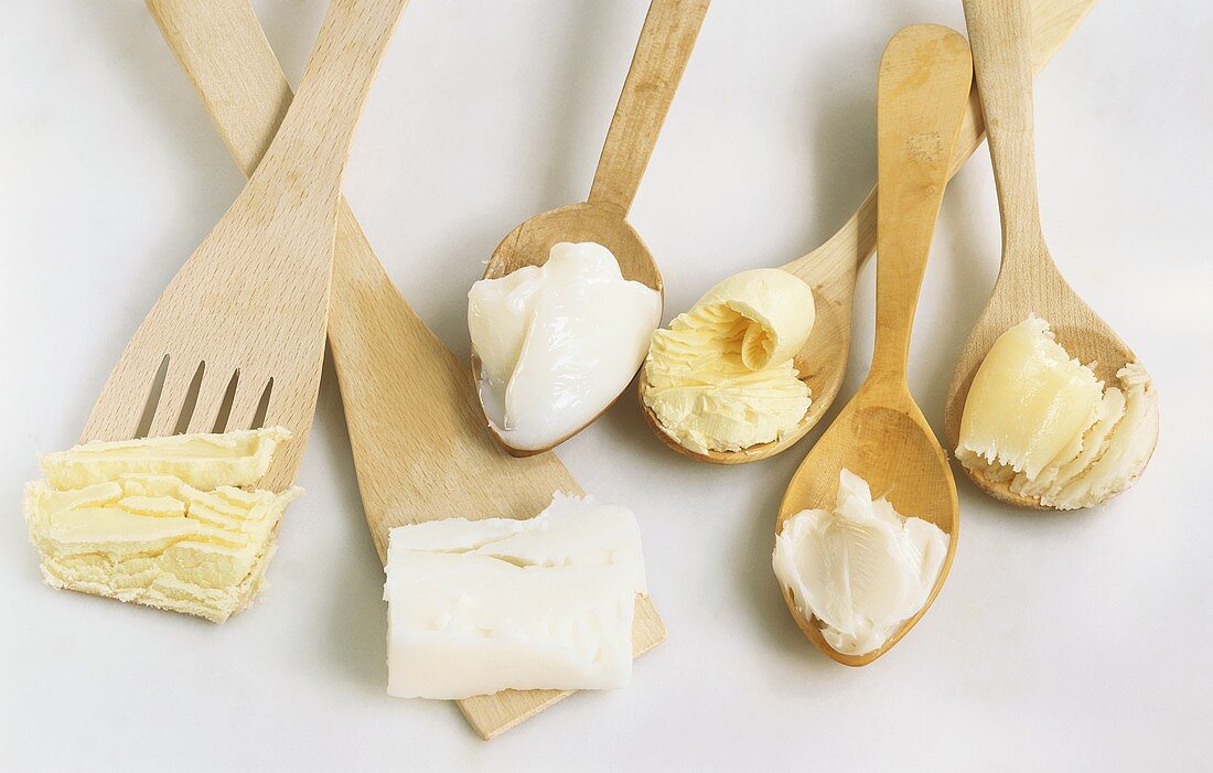 Six different fats on spatulas and spoons