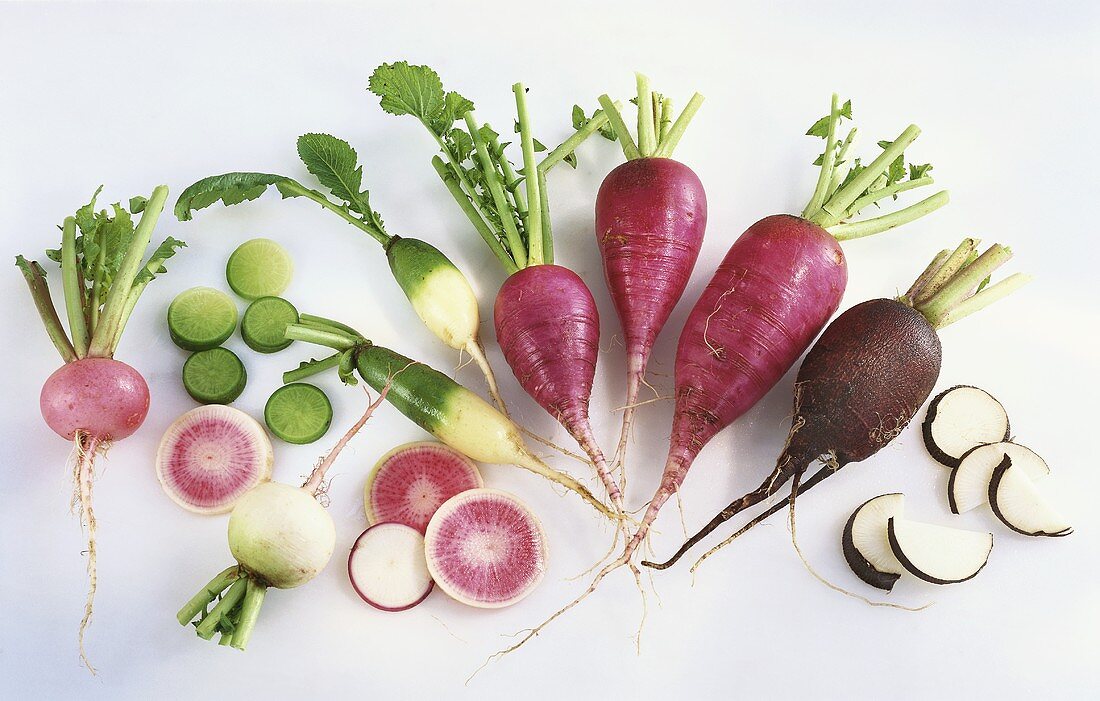 Various types of radish