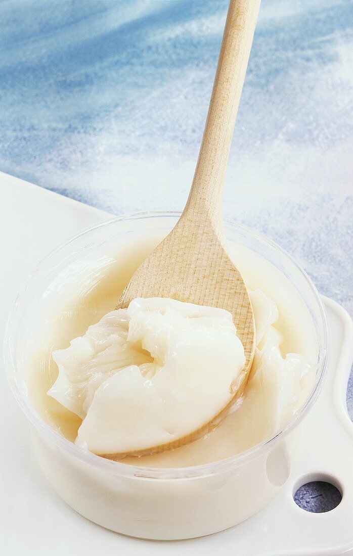 Goose fat in plastic tub and on wooden spoon