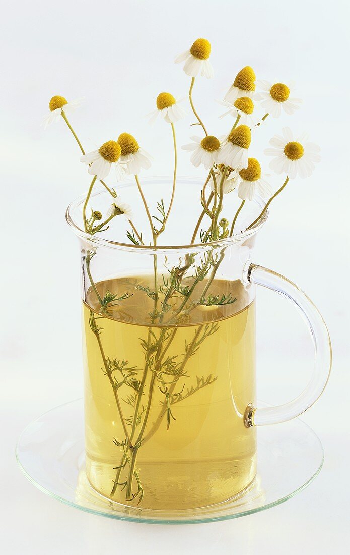 A glass of chamomile tea with sprigs of chamomile
