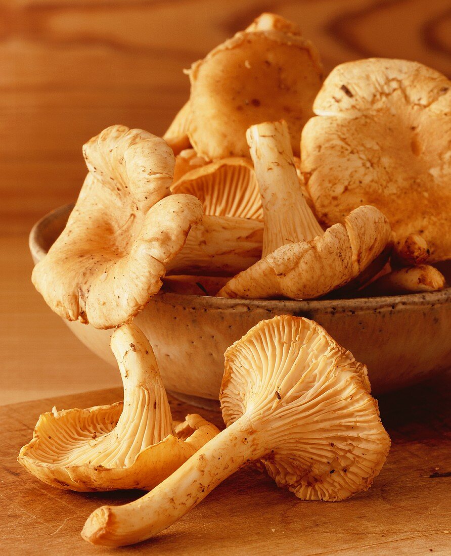 Fresh chanterelles in wooden bowl