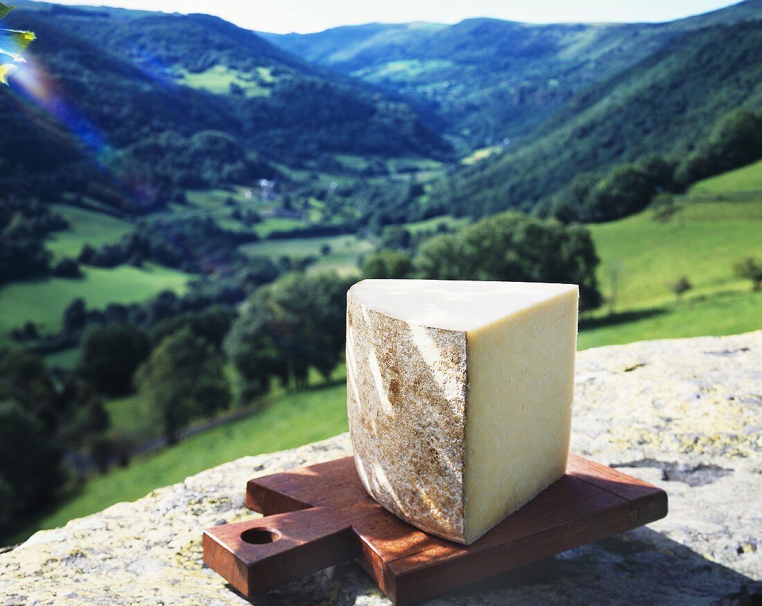 Stück Hartkäse vor Berglandschaft