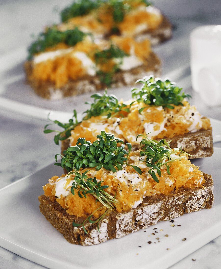 Wholemeal bread with raw carrot and cress