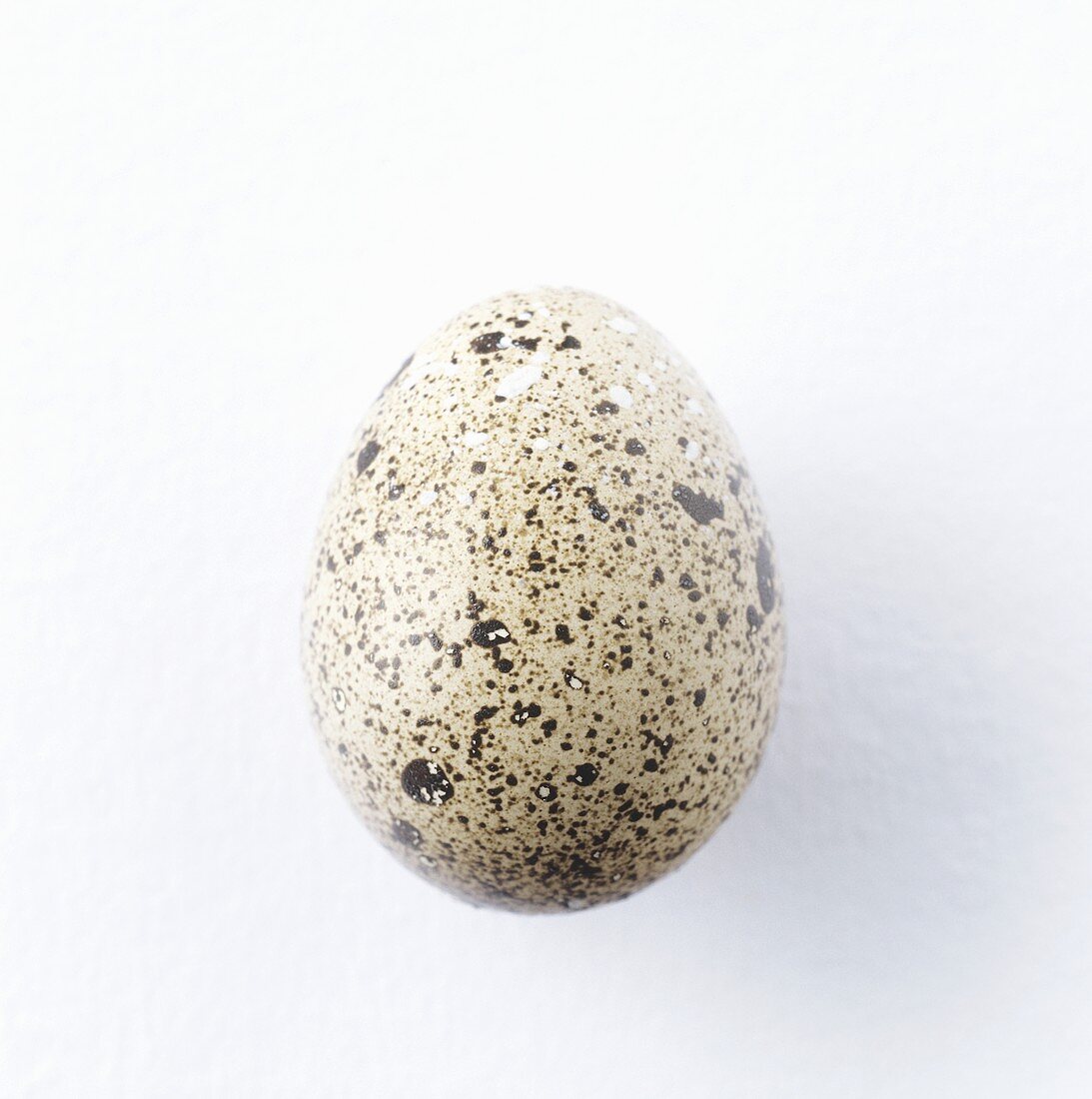 Quail's egg