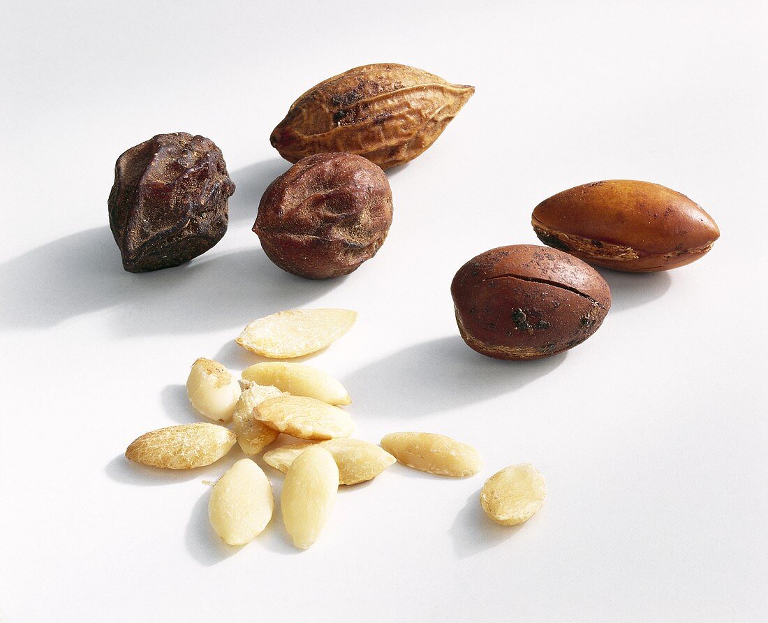 Argan almonds, shelled and unshelled