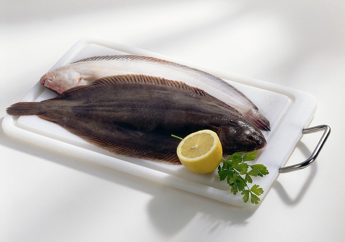 Fresh sole on chopping board