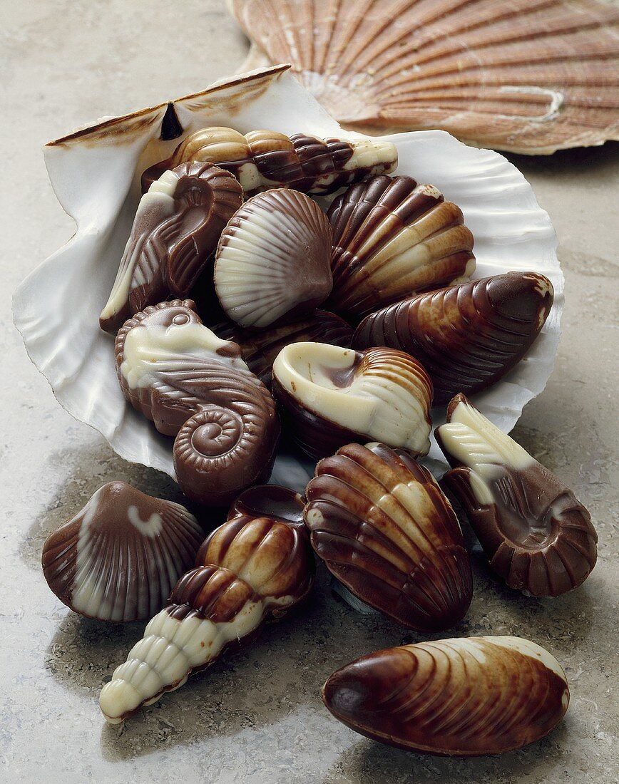 Meeresfrüchte aus Schokolade in Muschelschale