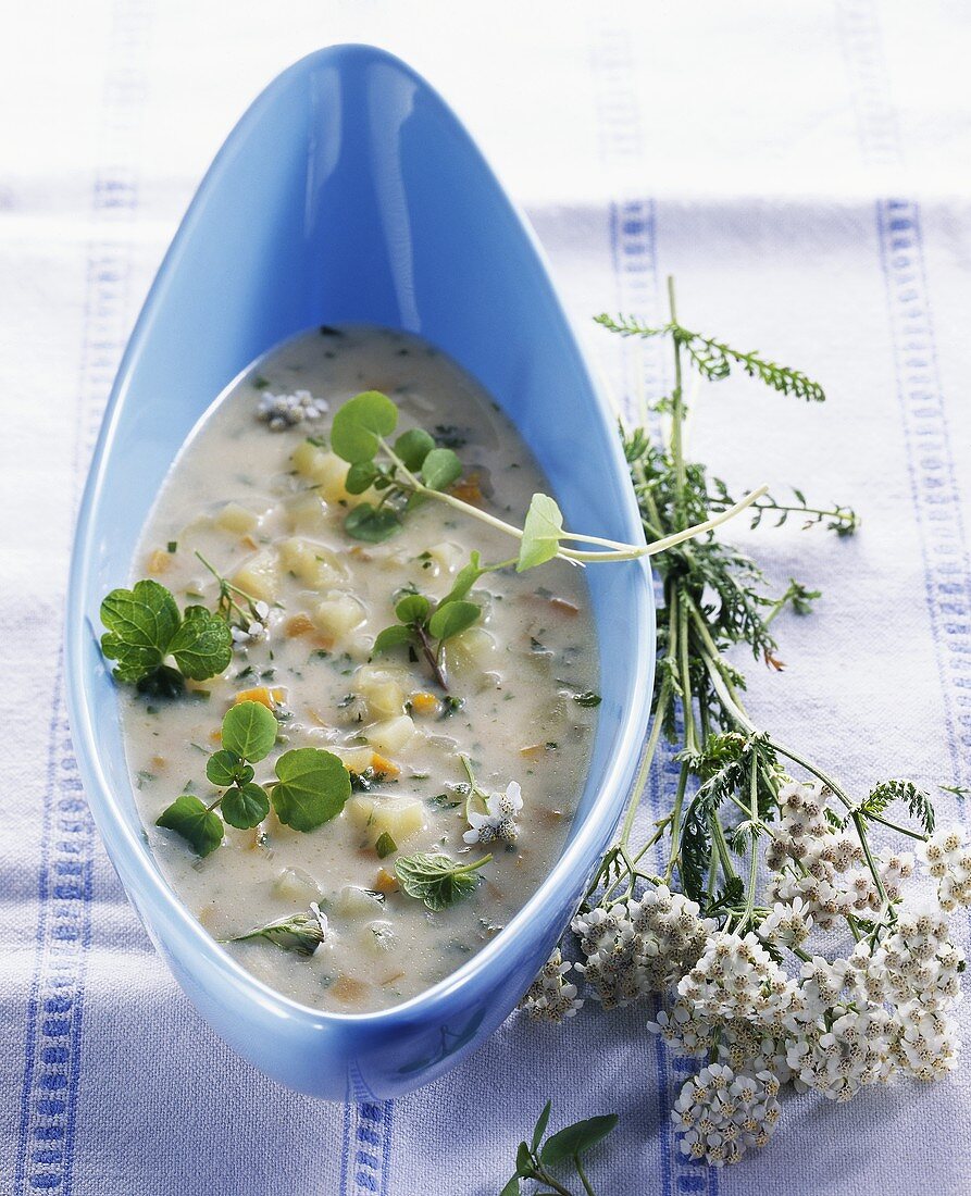 Spring soup with vegetables and herbs