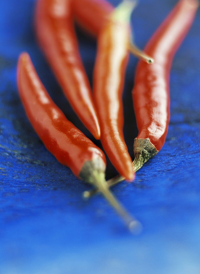 Rote Chilischoten auf blauem Untergrund