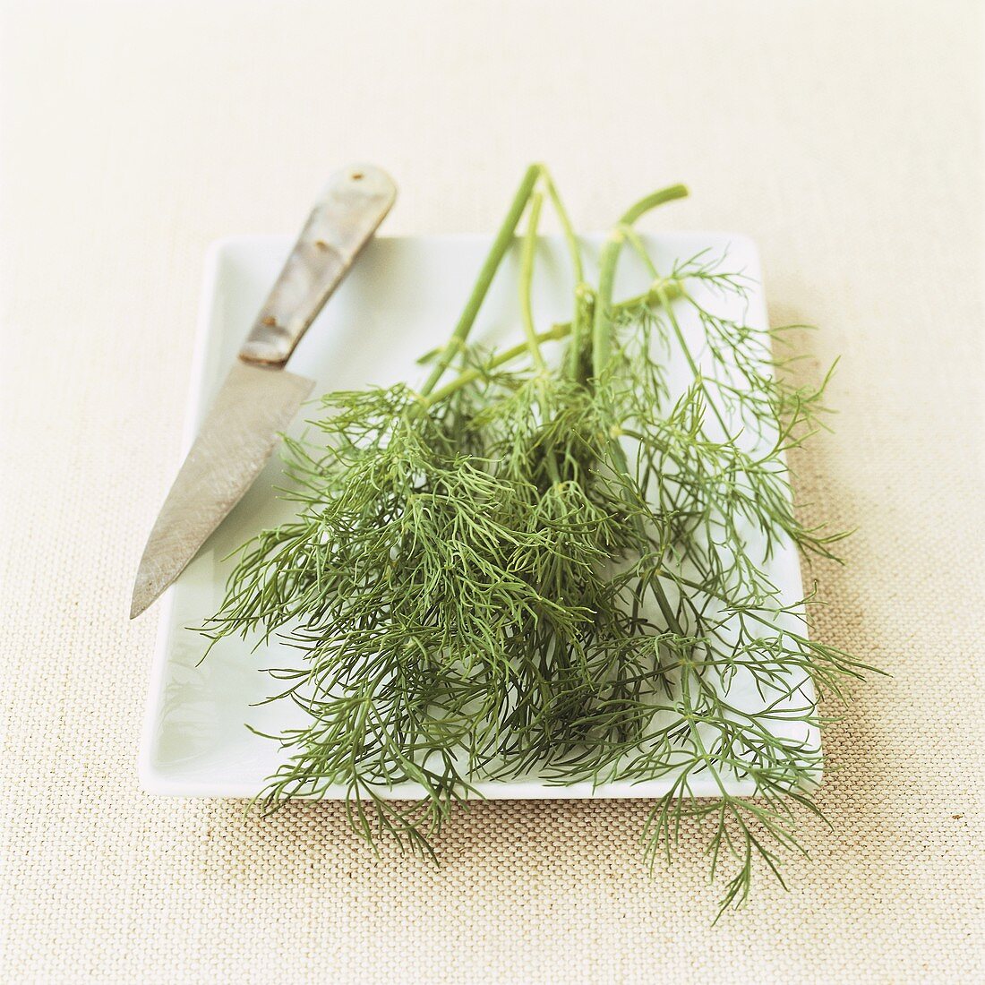 Fresh dill on white platter with knife