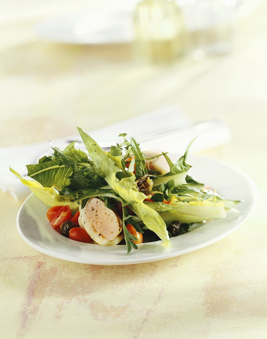 Salad leaves with roast rabbit