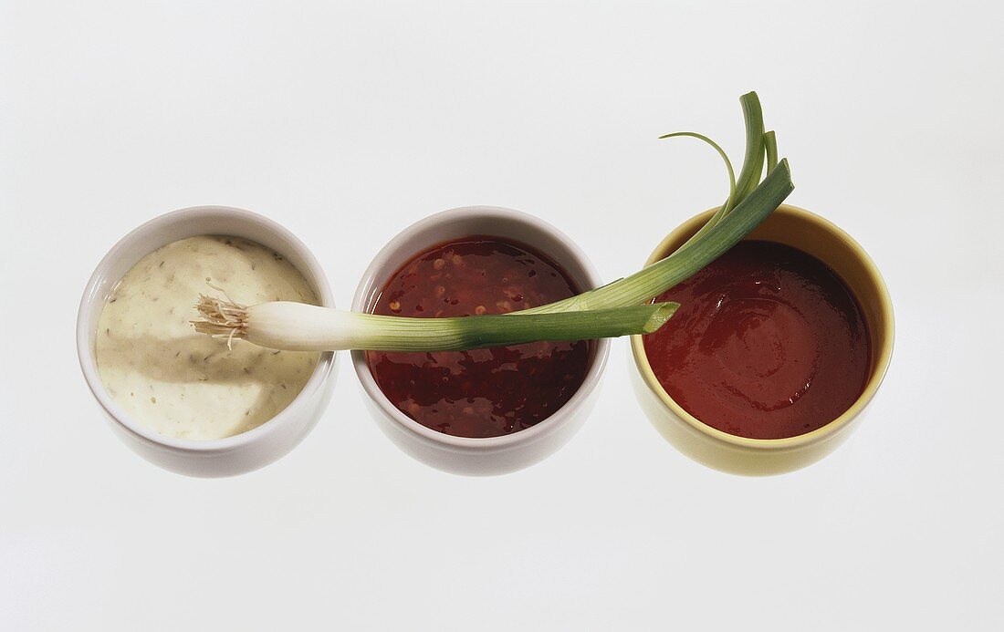 Three barbecue sauces and spring onion