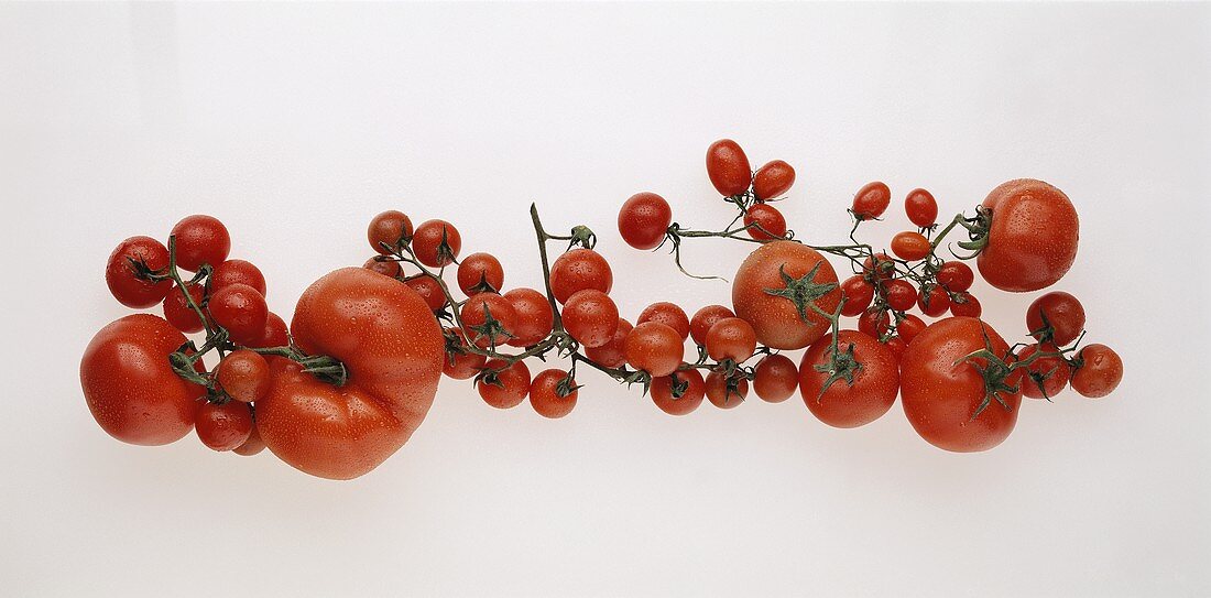 Beefsteak and cherry tomatoes with drops of water