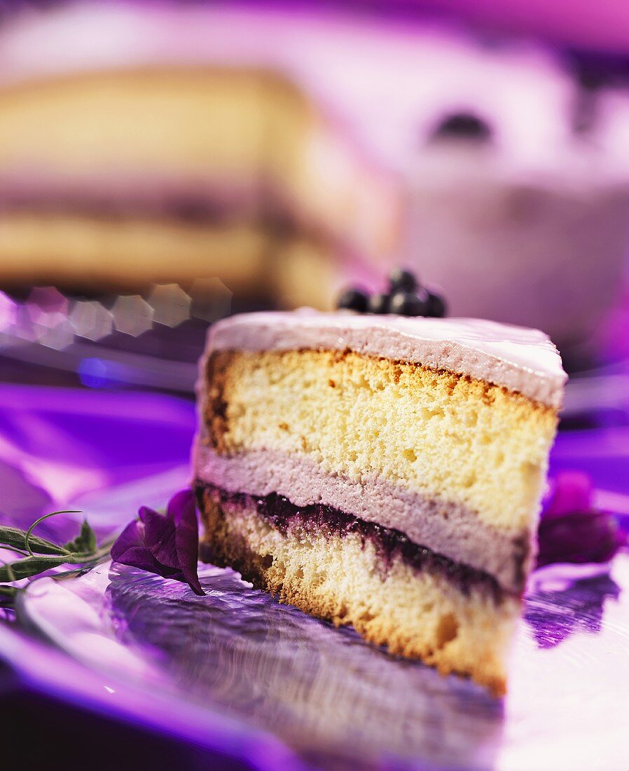 Piece of purple cake (sponge cake with blueberry cream)