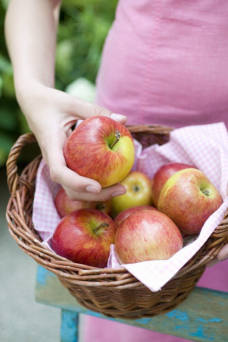 Frau hält Korb mit frischen Äpfeln