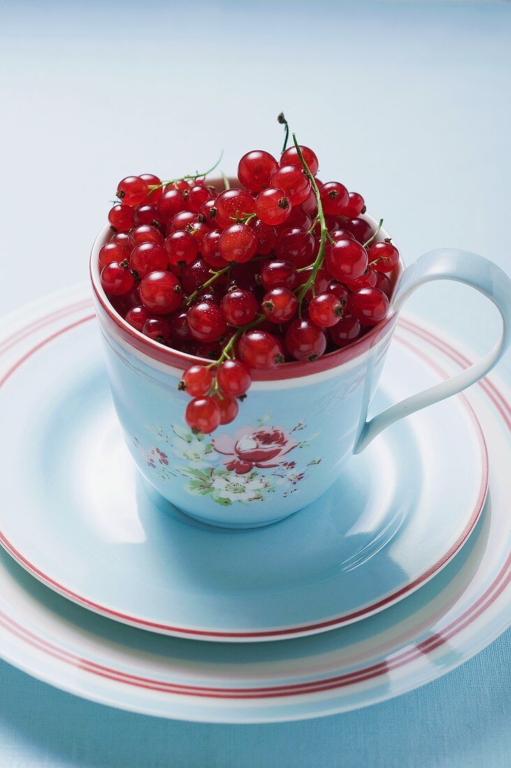 Redcurrants in coffee cup