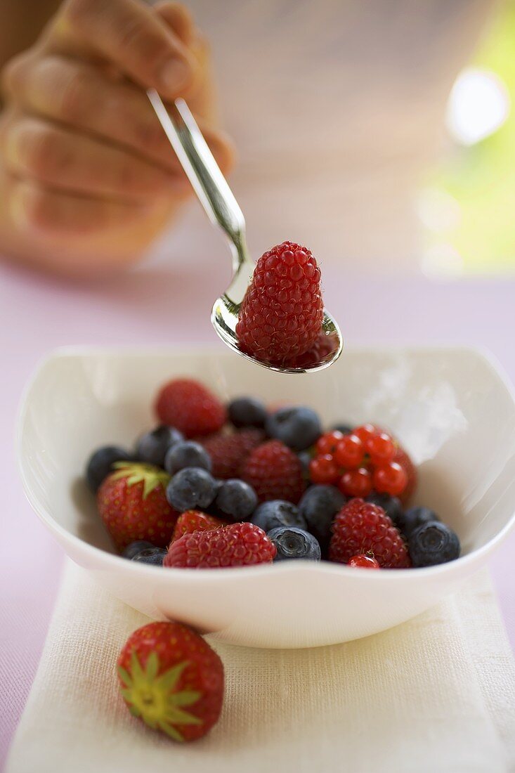 Hand holding spoon with raspberry over bowl of berries