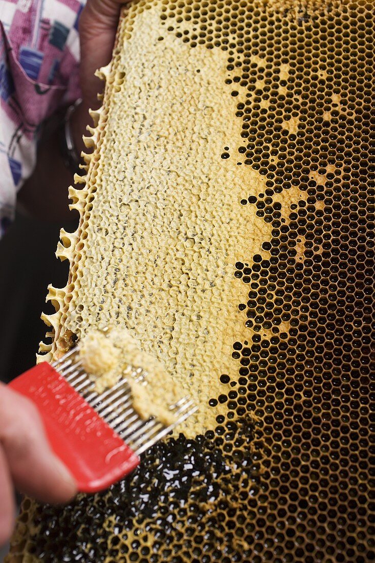 Hand schabt Honig mit Honigkamm aus Honigwabe