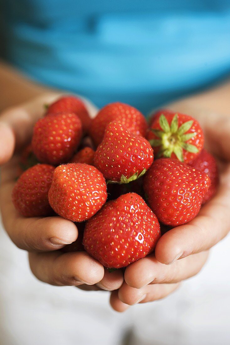 Hands holding strawberries