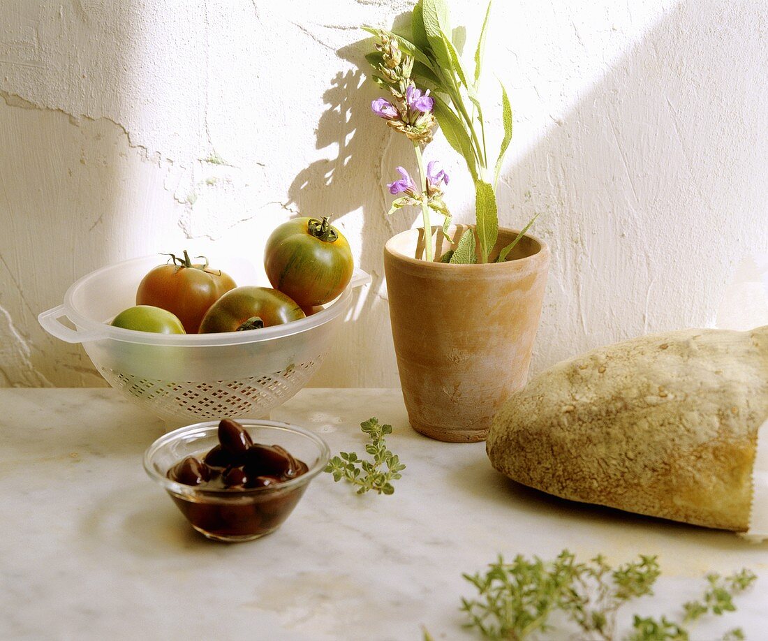 Stillleben mit Tomaten, Oliven, Brot und Salbei